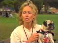 Animal Assisted Therapy - Daniela Ortner & Buddha
