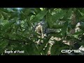 crysis-nano-suit-and-weapons.html