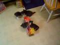 kitten box attack