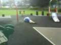 videos de Raving In The Park - Gone Wrong