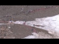 Megavalanche 2011 Alpe d'Huez - 17ème édition de La Megavalanche - La semaine la plus freeride de l'année! Le Massif de l'Oisans, et plus précisément, l'Alpe d'Huez, accueille la plus grand...
