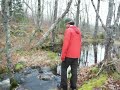 Bluff Wilderness Hiking, Nova Scotia - November, 2009