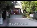 宮崎観光 青島と青島神社