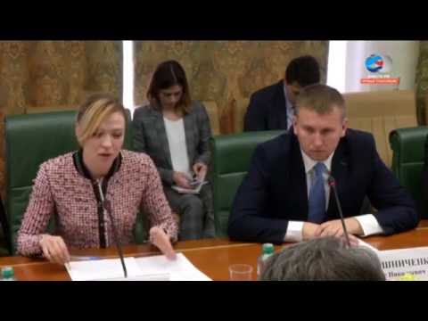 Наталья Никонорова о заседании политической группы в Минске