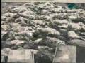 Nanking Massacre-Concrete Evidence Part 1 of 6
