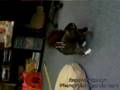 Porter & His Best Friend, Luther the Cat playing at work