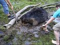 ¿Vacaciones o vaca-siome?