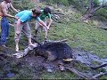 ¿Vacaciones o vaca-siome?