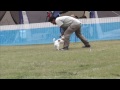 Click here to watch this video 2010 10/24 k9 御前崎 リン 2R.