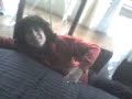 Kimust con achazo xD
