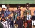 wellington international ukelele orchestra 2 ziggy stardust