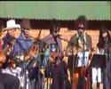 wellington international ukelele orchestra 2 ziggy stardust