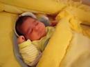 demir can\