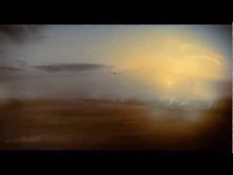 Maximum Ride Trailer