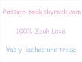 zouk 2008 lynnsha j'veux que tu me mentes. go in my skybloug 100%zouklove