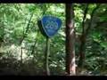 国道289号線（登山国道）