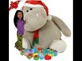 I WANT A HIPPOPOTAMUS FOR CHRISTMAS with Lyrics I WANT A HIPPOPOTAMUS FOR CHRISTMAS with Lyrics
