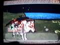 Okami walkthrough (part 3)