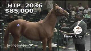 HnR bred Finest City (AKA City Envy) (PA) pinhook Sept Keeneland Sale 2013