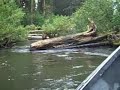 Yakutat 2008-1 Situk