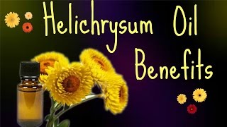 Benefits of Helichrysum Essential Oil