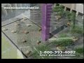 Real Estate El Salvador Bienes Raices Luxury Apartments Real Estate El Salvador Bienes Raices Luxury Apartments