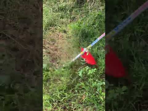 Dòng máy cắt cỏ Fomax 330