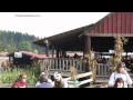 Roloff Family Farm Pumpkin Patch