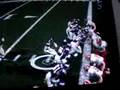 Adrian Peterson