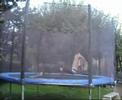 Some Moves {Old}