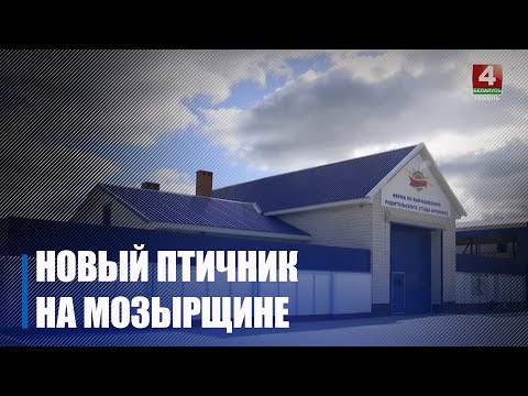 Под Мозырем птицефабрика обновила мощности и смогла отказаться от импорта видео