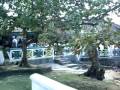 NEGRIL PROPERTY 3