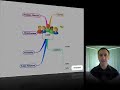 How to Grow Your Business using Mind Mapping - Part 1 of 3