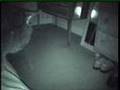 CATS, ORBS, AND THE PARANORMAL