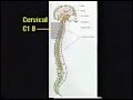 Neurological  Disorders 2 of 2