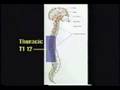 Neurological Disorders 2 of 2