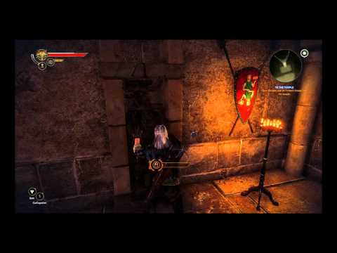 The Witcher 2 : Assassins of Kings