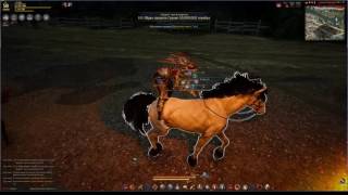 Black Desert Чудеса с лошадями Black Desert Чудеса с лошадями