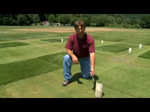 Protecting Water: Crop Coefficient