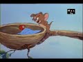 Tom Y Jerry - Escotilla De Sus Problemas