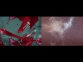 The Naked And Famous - The Sun