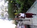 im 6'1