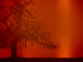 Equinozio d'autunno
