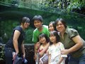 abesamis at oceanarium abesamis at oceanarium