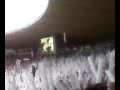 Torcida do Botafogo (Final Taça Rio) (2)