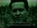 50 años de monte   1/6