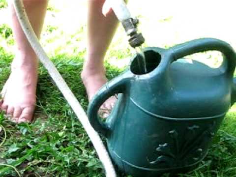 how to fertilize with worm tea