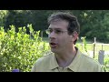 Organic pest control - Natural bug and insect repellents