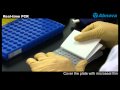 View Video