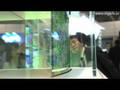 ソニー有機EL原型 - CEATEC JAPAN 2008 : DigInfo